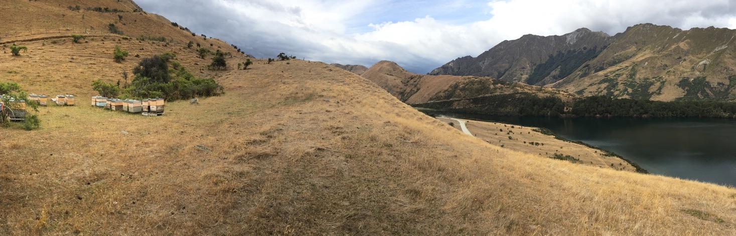 queenstown high country