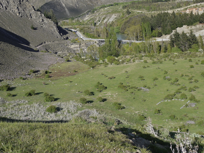 Beehives in Archers Apiries