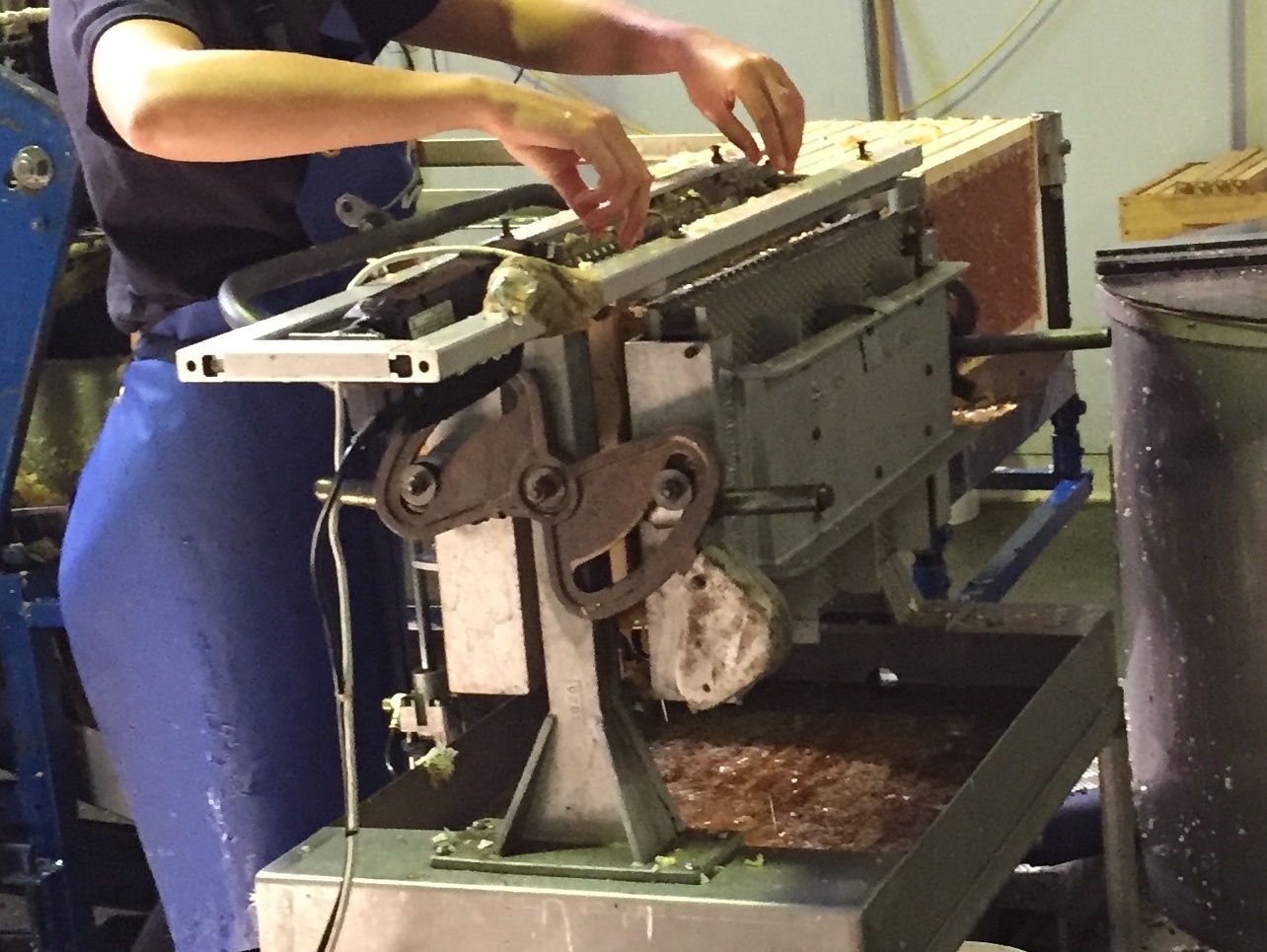 Honey Extraction
