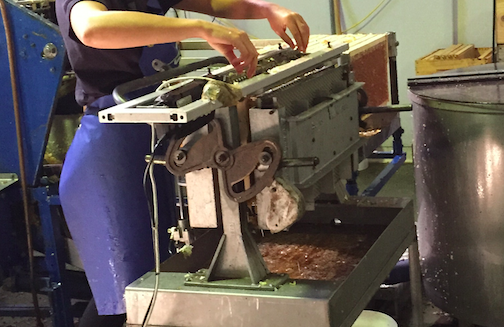 Honey Extraction